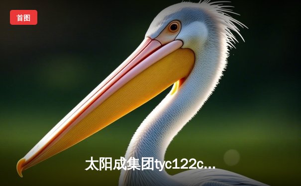 太阳成集团tyc122cc网址入口直击：CBA半决赛G5生死战 辽宁本钢加时逆转广东宏远晋级总决赛