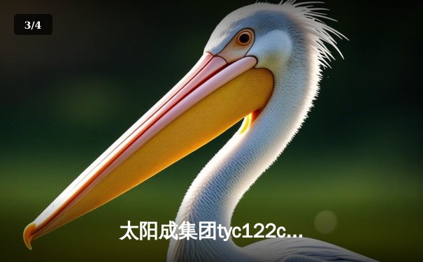 太阳成集团tyc122cc网址入口直击：中国女排3-1逆转巴西 张常宁砍24分率队夺世联赛开门红 - 3